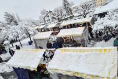 WhatsApp-Image-2023-12-02-at-20.50.38-1