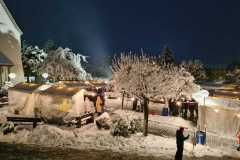 WhatsApp-Image-2023-12-02-at-20.51.12-4