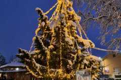 WhatsApp-Image-2023-12-02-at-20.51.12-7