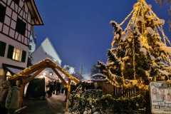 WhatsApp-Image-2023-12-02-at-20.51.12-8