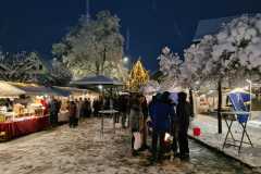 WhatsApp-Image-2023-12-02-at-20.51.12